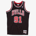 Chicago Bulls Mitchell & Ness Swingman Jersey Alternate Dennis Rodman 1995-96 product image 1, provided for visual reference