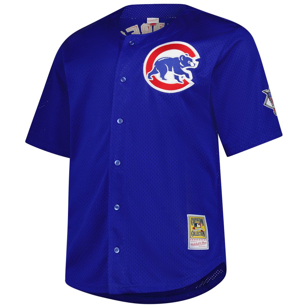 Chicago Cubs Ryne Sandberg Mitchell & Ness Royal Big & Tall Cooperstown Mesh Batting Practice Jersey product image 2,