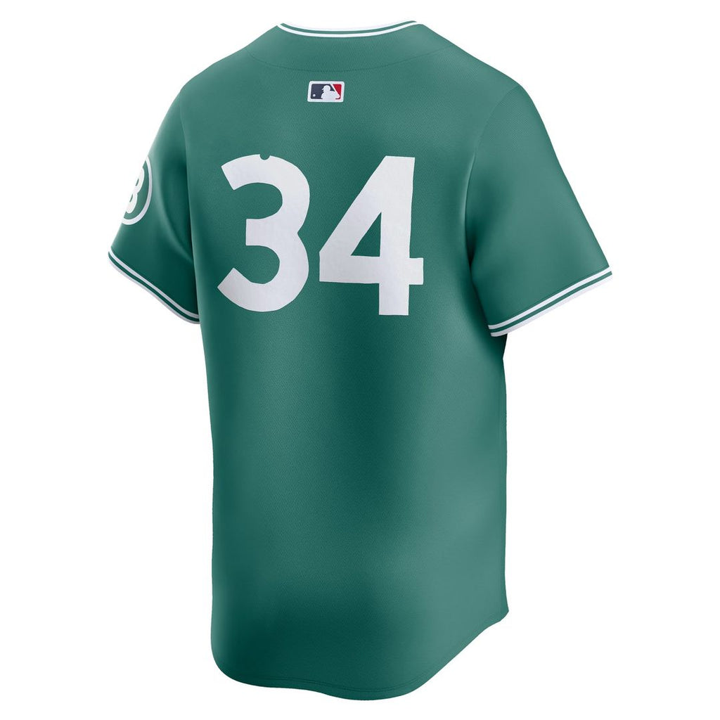 Boston Red Sox David Ortiz Nike Green 2025 City Connect Limited Retired Player Jersey product image 3, provided for visual