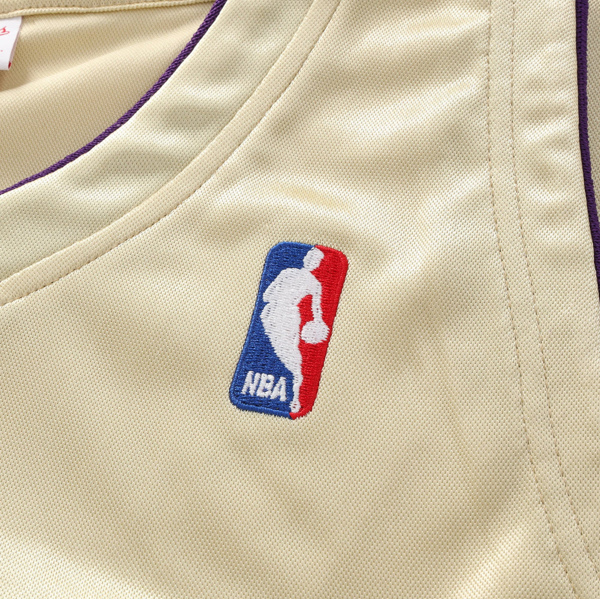 Los Angeles Lakers NBA Mitchell & Ness Authentic HOF Jersey product image 7