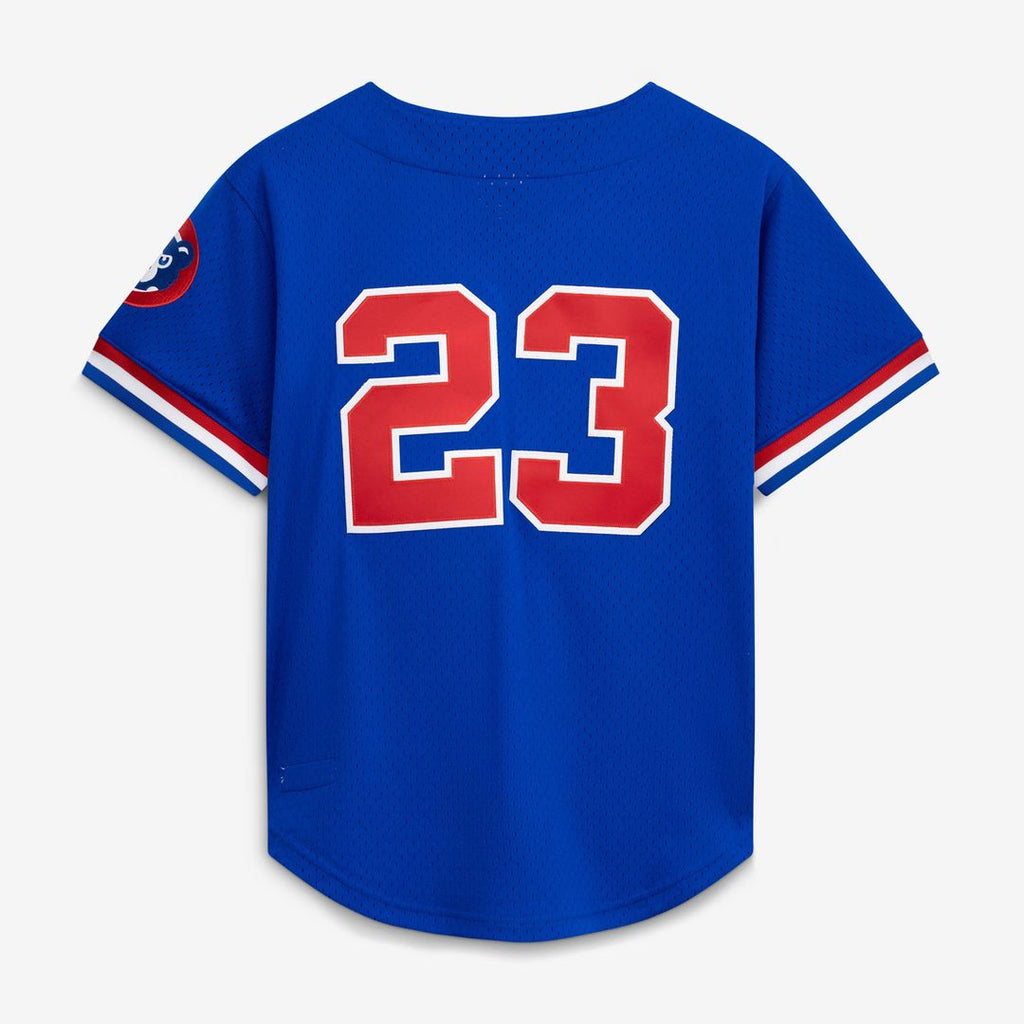 Chicago Cubs Ryne Sandberg Mitchell & Ness Royal Cooperstown Collection 1996 Mesh Batting Practice Button-Up Jersey product