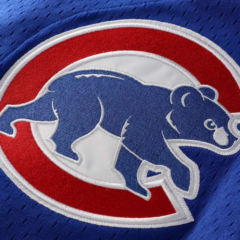 Chicago Cubs Ryne Sandberg Mitchell & Ness Royal Cooperstown Collection 1997 Mesh Batting Practice Button-Up Jersey product