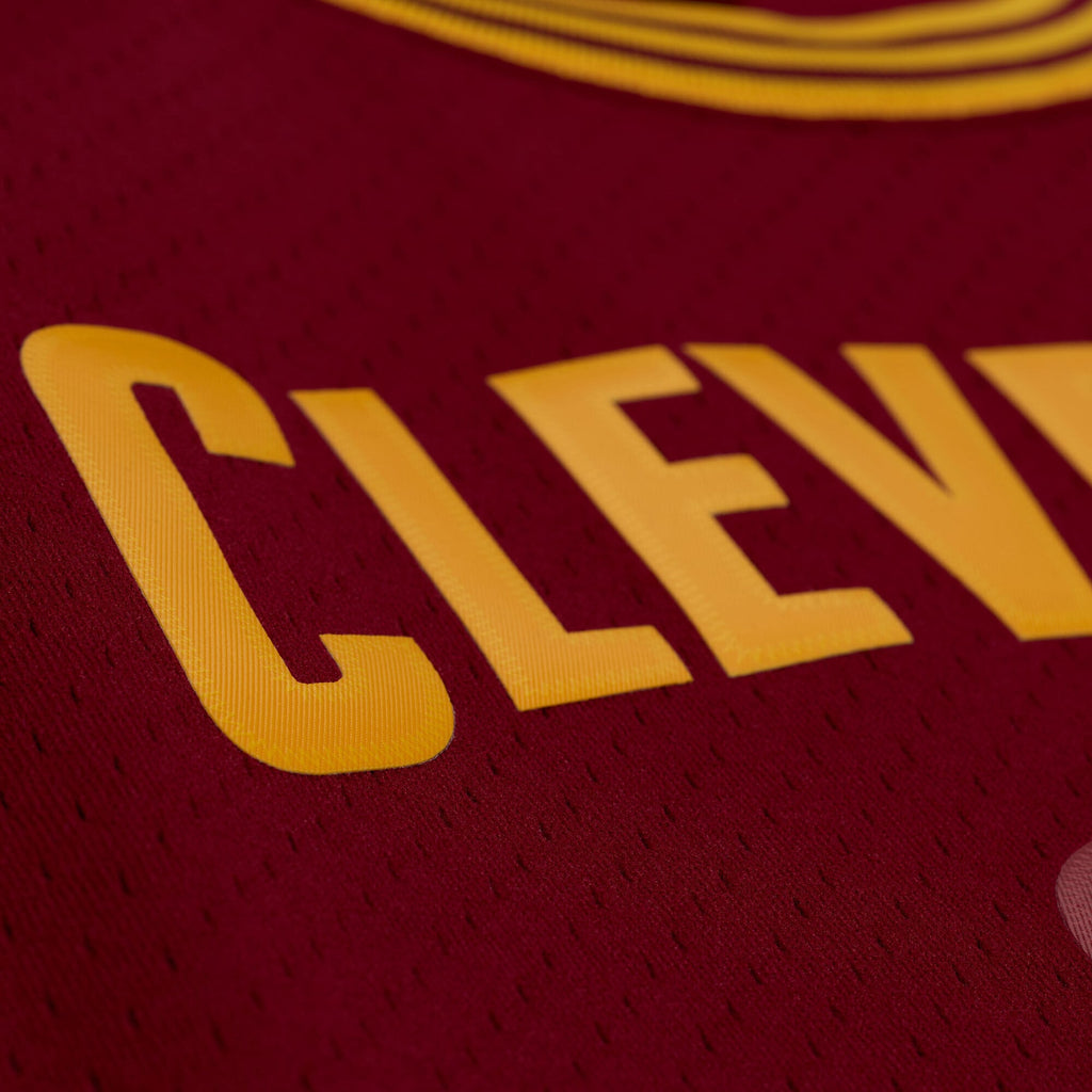 Cleveland Cavaliers Lebron James 2015-16 Mitchell & Ness Jersey product image 4, provided for visual reference and product