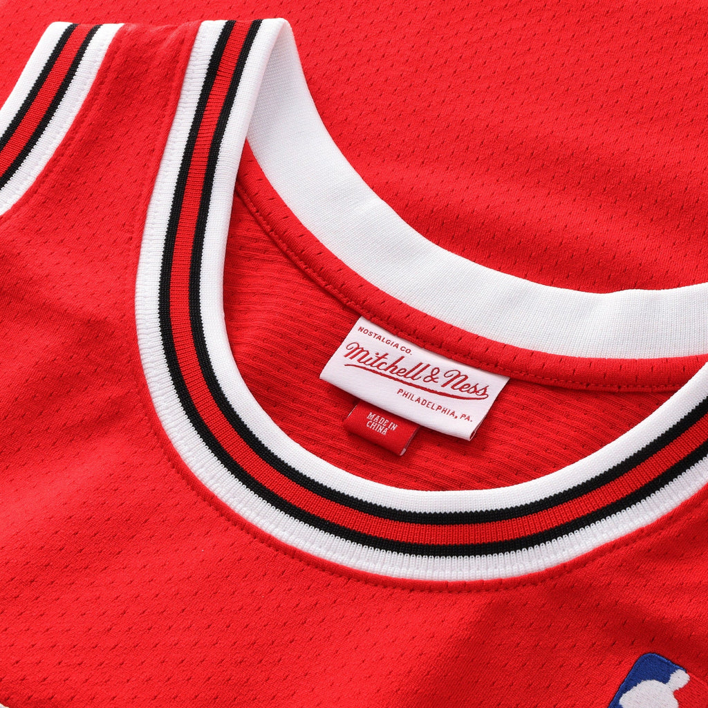 Chicago Bulls Michael Jordan 1994-95 Road 45 Authentic product image 4