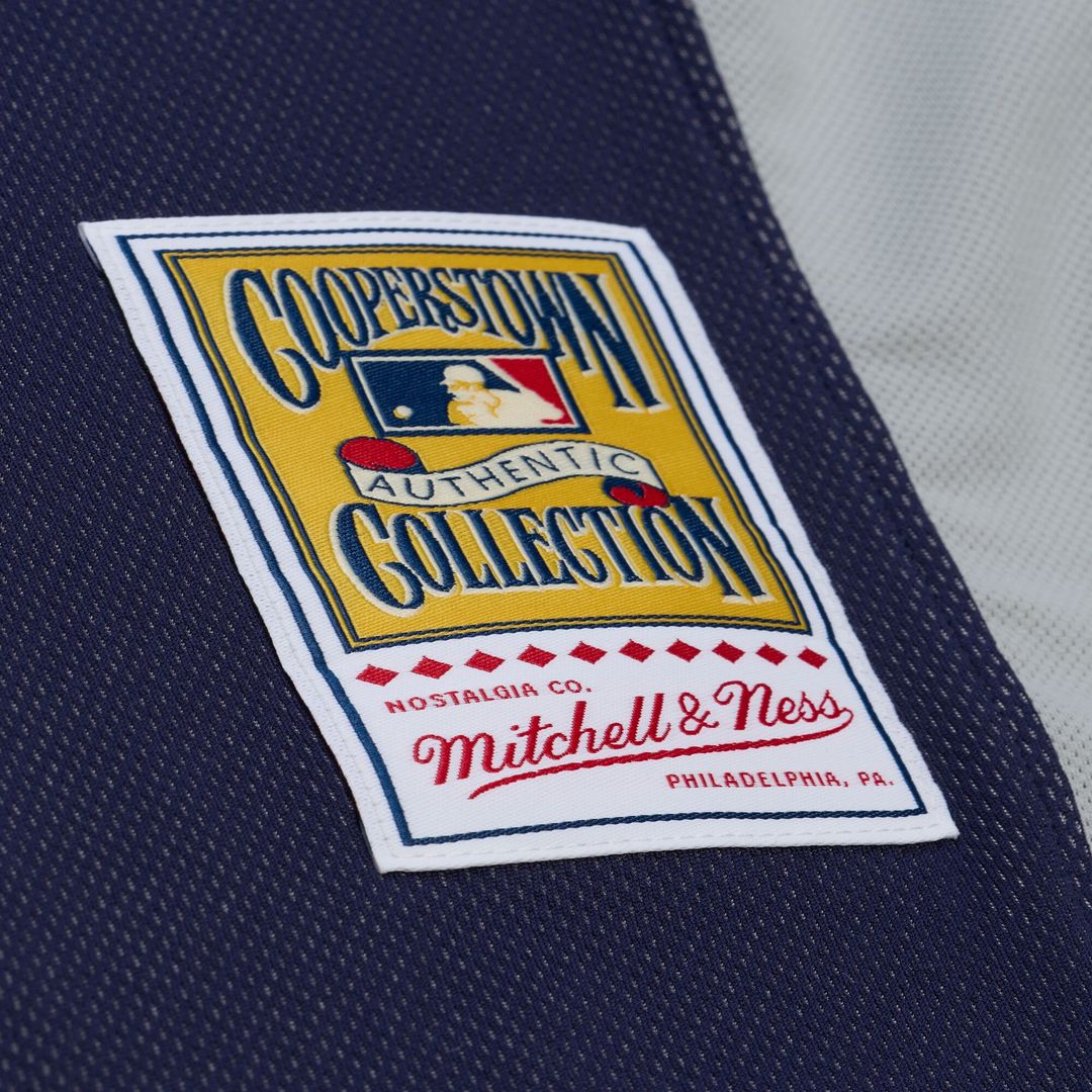 New York Yankees CC Sabathia Mitchell & Ness Navy 2009 Authentic Batting Practice Jersey product image 4, provided for