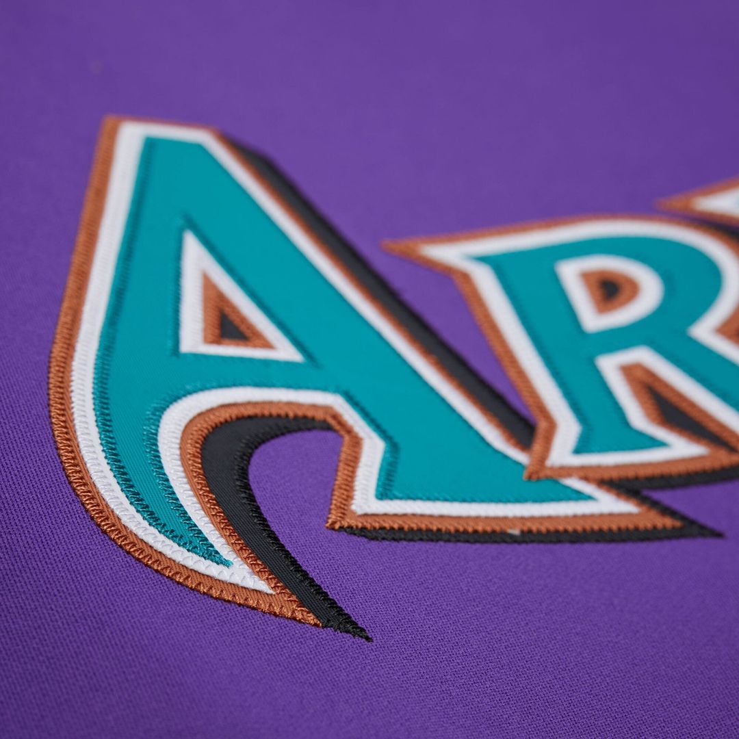 Arizona Diamondbacks Randy Johnson Mitchell & Ness Black 2001 Authentic Jersey product image 20, provided for visual