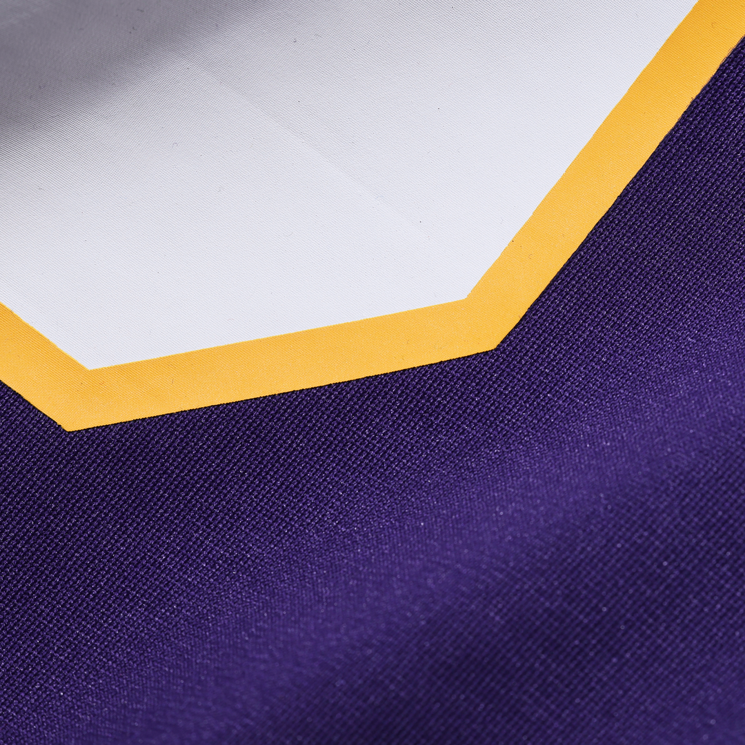 Minnesota Vikings Adrian Peterson Nike Purple Alternate 2 Classic Retired Game Jersey product image 5, provided for visual
