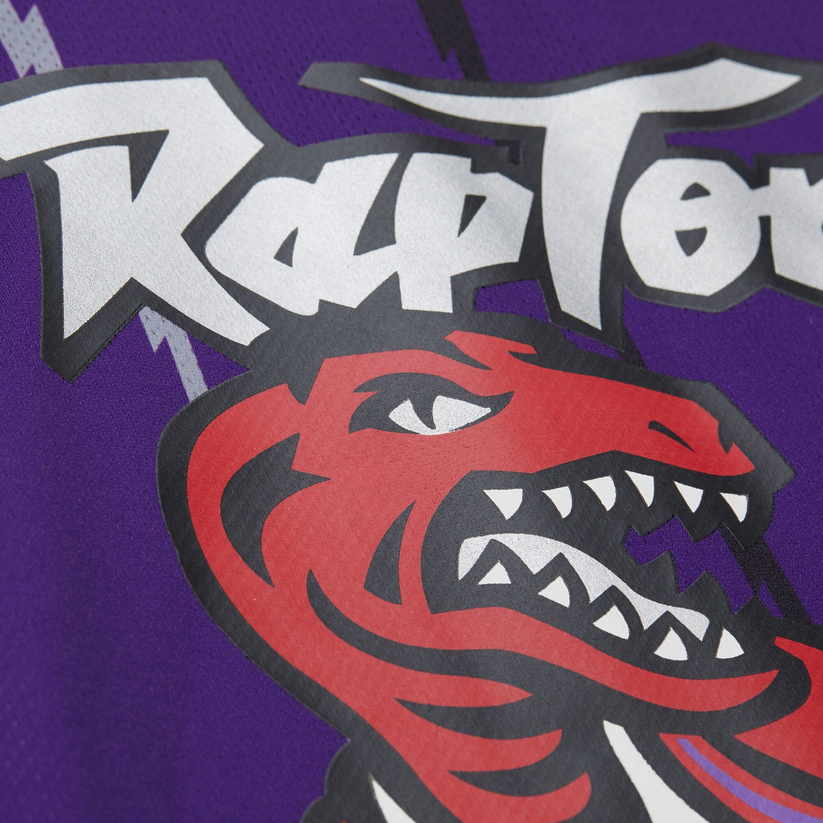 Unisex Mitchell & Ness Vince Carter Purple Toronto Raptors Maxxed Out Fashion Hockey Jersey product image 8, provided for