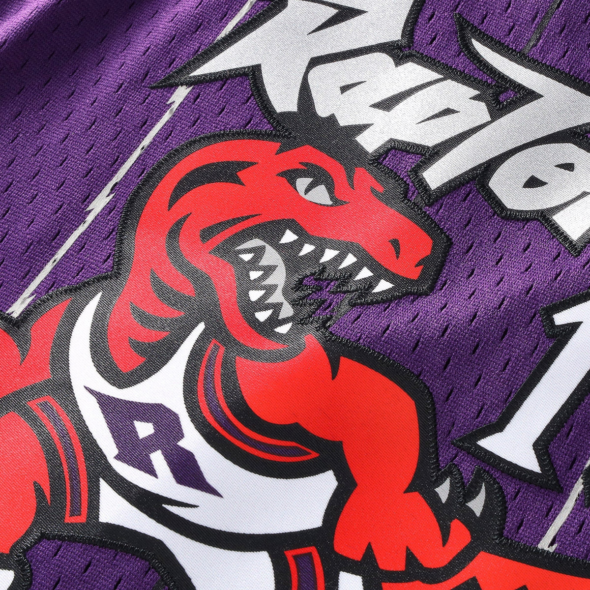 Toronto Raptors Mitchell & Ness Swingman Jersey - Vince product image 5