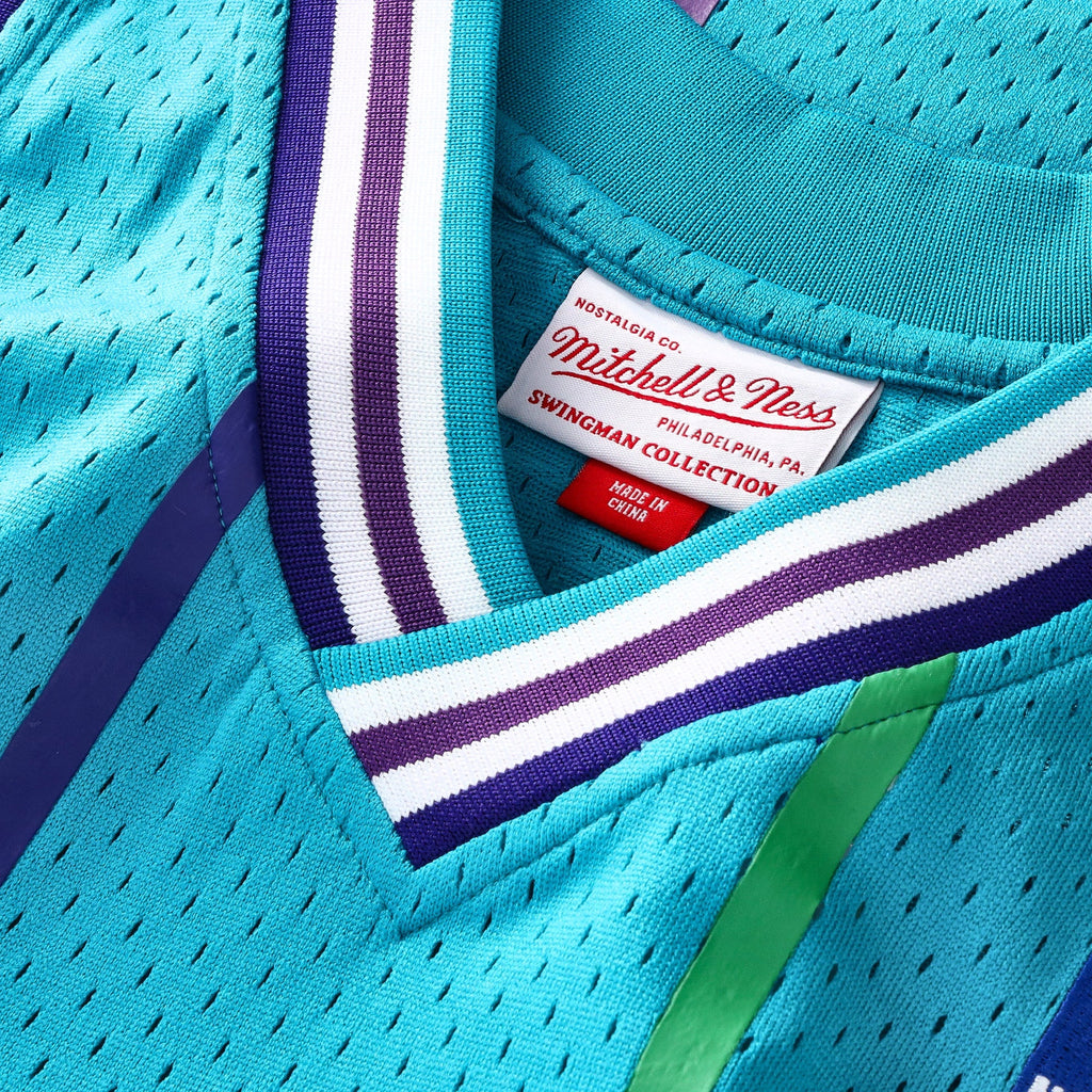 Charlotte Hornets NBA Mitchell & Ness Swingman Jersey product image 4