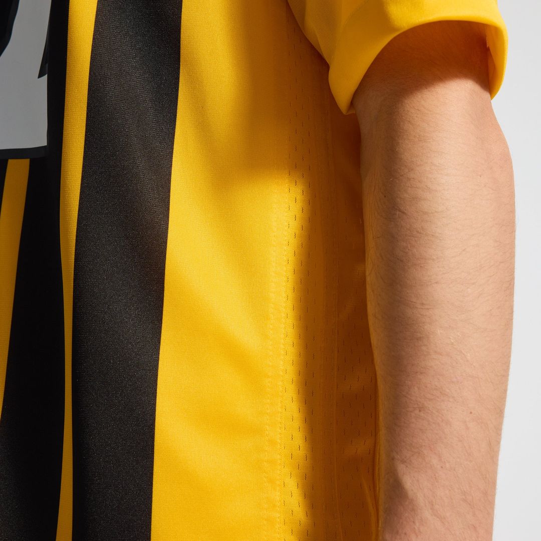 Pittsburgh Steelers Cameron Heyward Nike Gold Alternate 1933 Throwback Game Jersey product image 13, provided for visual