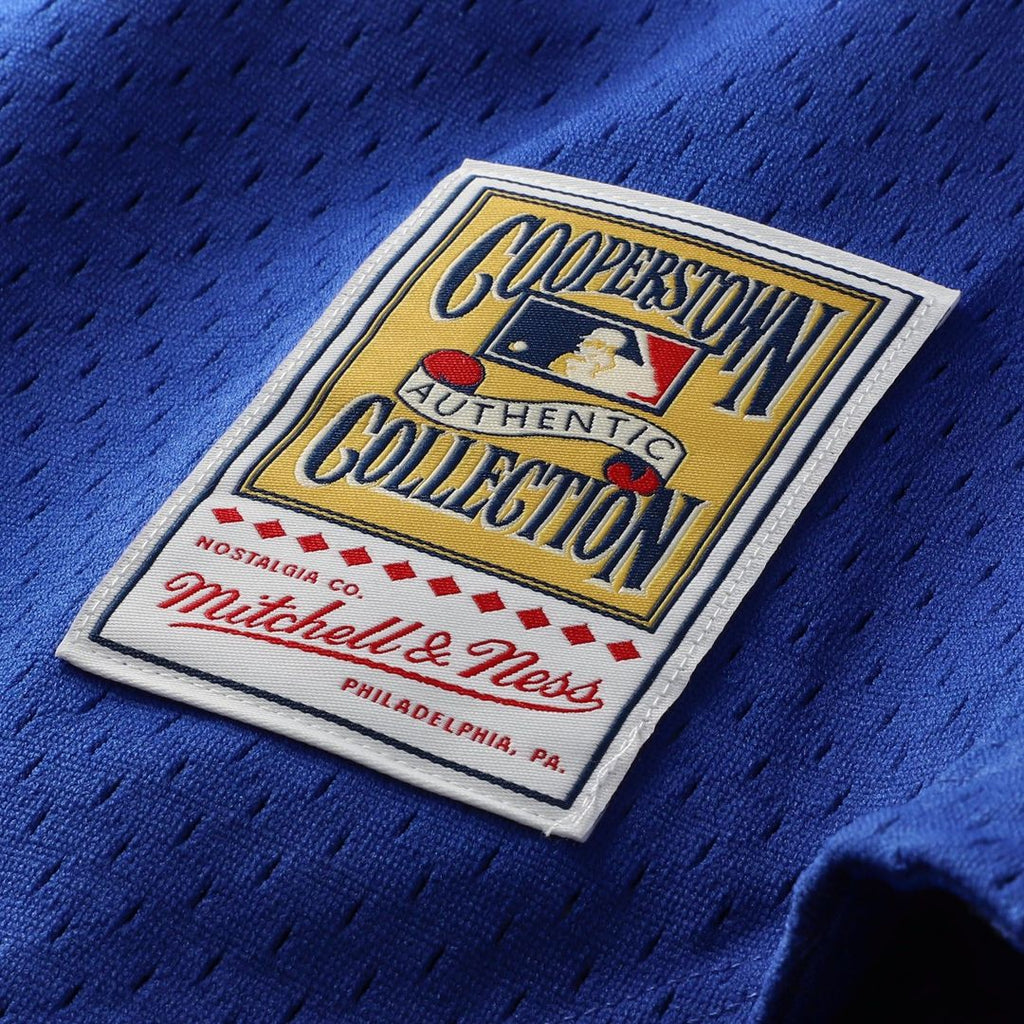 Chicago Cubs Ryne Sandberg Mitchell & Ness Royal Cooperstown Collection 1997 Mesh Batting Practice Button-Up Jersey product