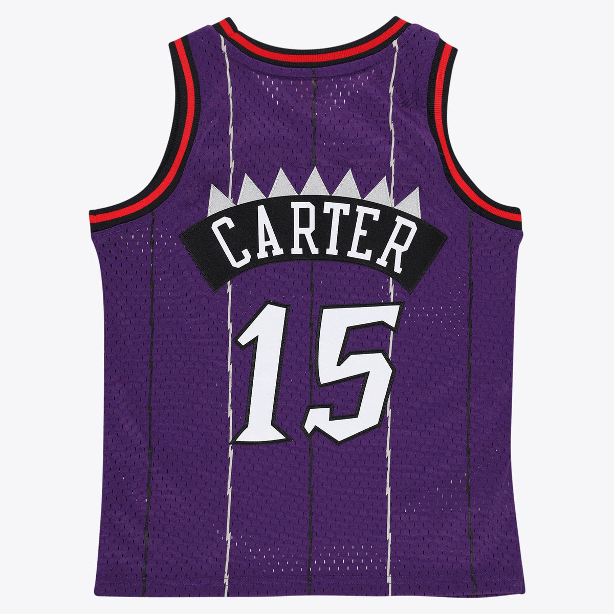 Toronto Raptors Mitchell & Ness Swingman Jersey - Vince product image 3