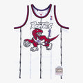 Toronto Raptors Mitchell & Ness Swingman Jersey Tracy McGrady 1998-99 product image 1, provided for visual reference and
