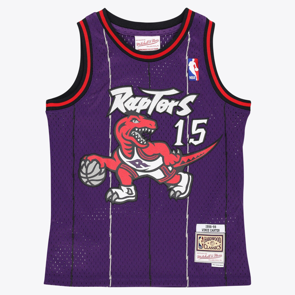 Toronto Raptors Mitchell & Ness Swingman Jersey - Vince product image 2