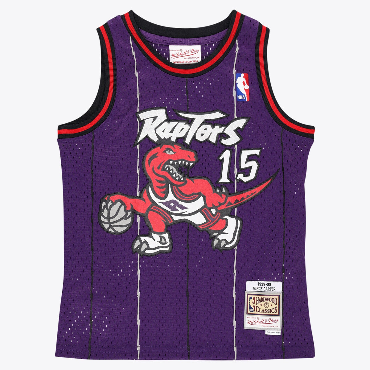 Toronto Raptors Mitchell & Ness Swingman Jersey - Vince product image 2