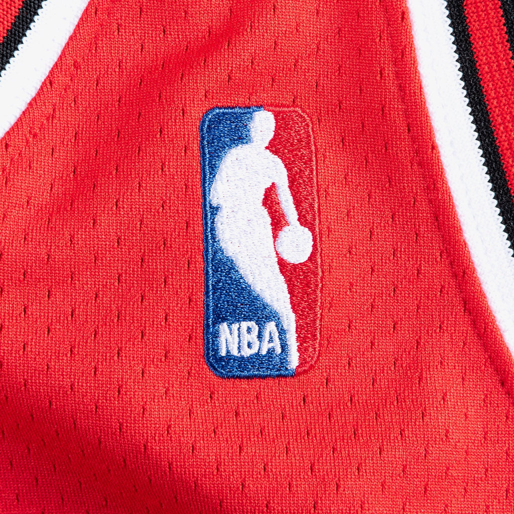 Chicago Bulls Mitchell & Ness Authentic Jersey Road Finals Michael Jordan 1995-96 product image 5, provided for visual