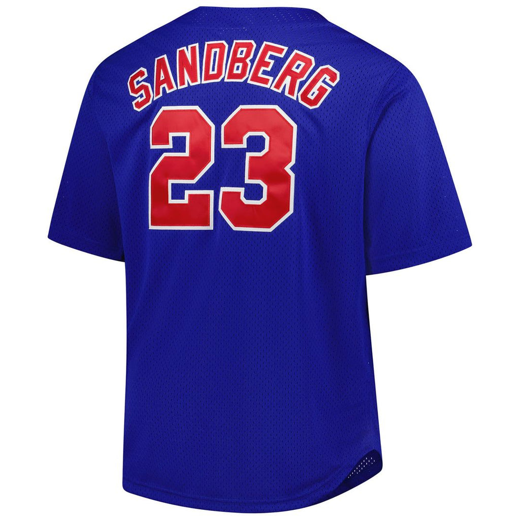 Chicago Cubs Ryne Sandberg Mitchell & Ness Royal Big & Tall Cooperstown Mesh Batting Practice Jersey product image 3,