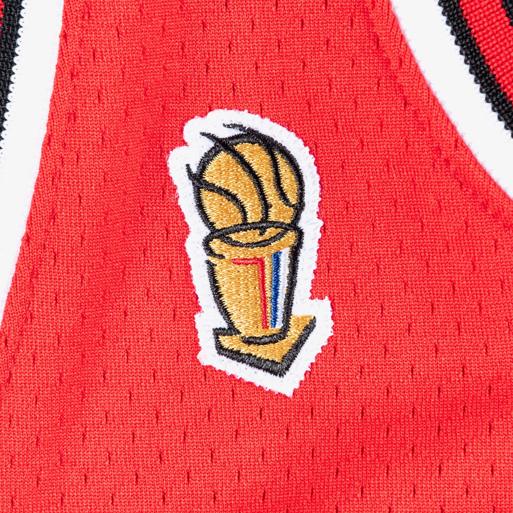 Chicago Bulls Mitchell & Ness Authentic Jersey Road Finals Michael Jordan 1995-96 product image 6, provided for visual