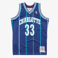 Charlotte Hornets Mitchell & Ness Authentic Jersey Alternate Alonzo Mourning 1994-95 product image 1, provided for visual