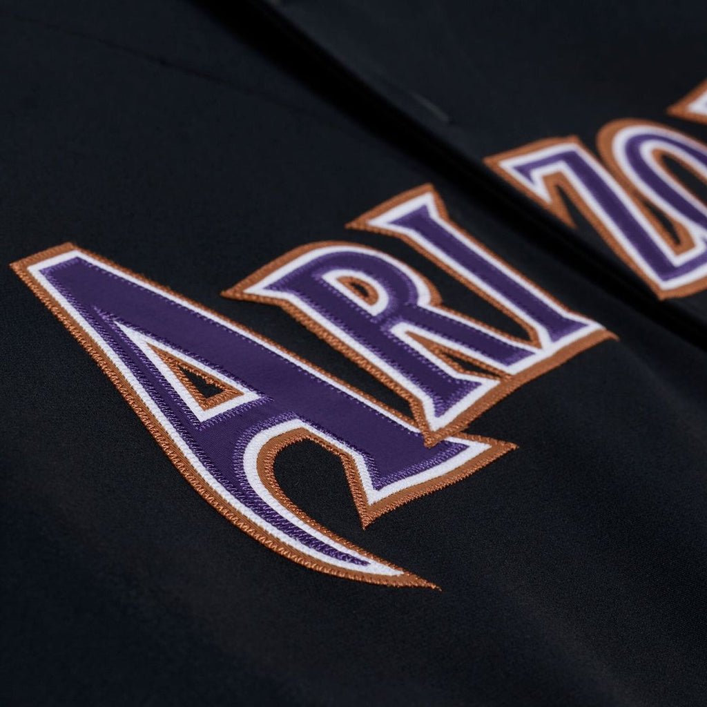 Arizona Diamondbacks Randy Johnson Mitchell & Ness Black 2001 Authentic Jersey product image 11, provided for visual