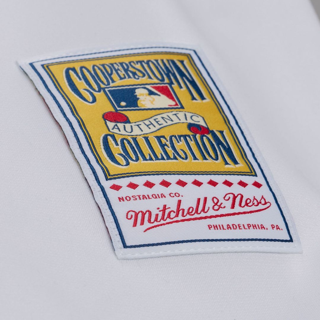 Atlanta Braves Andruw Jones Mitchell & Ness White 2005 Authentic Jersey product image 6, provided for visual reference and