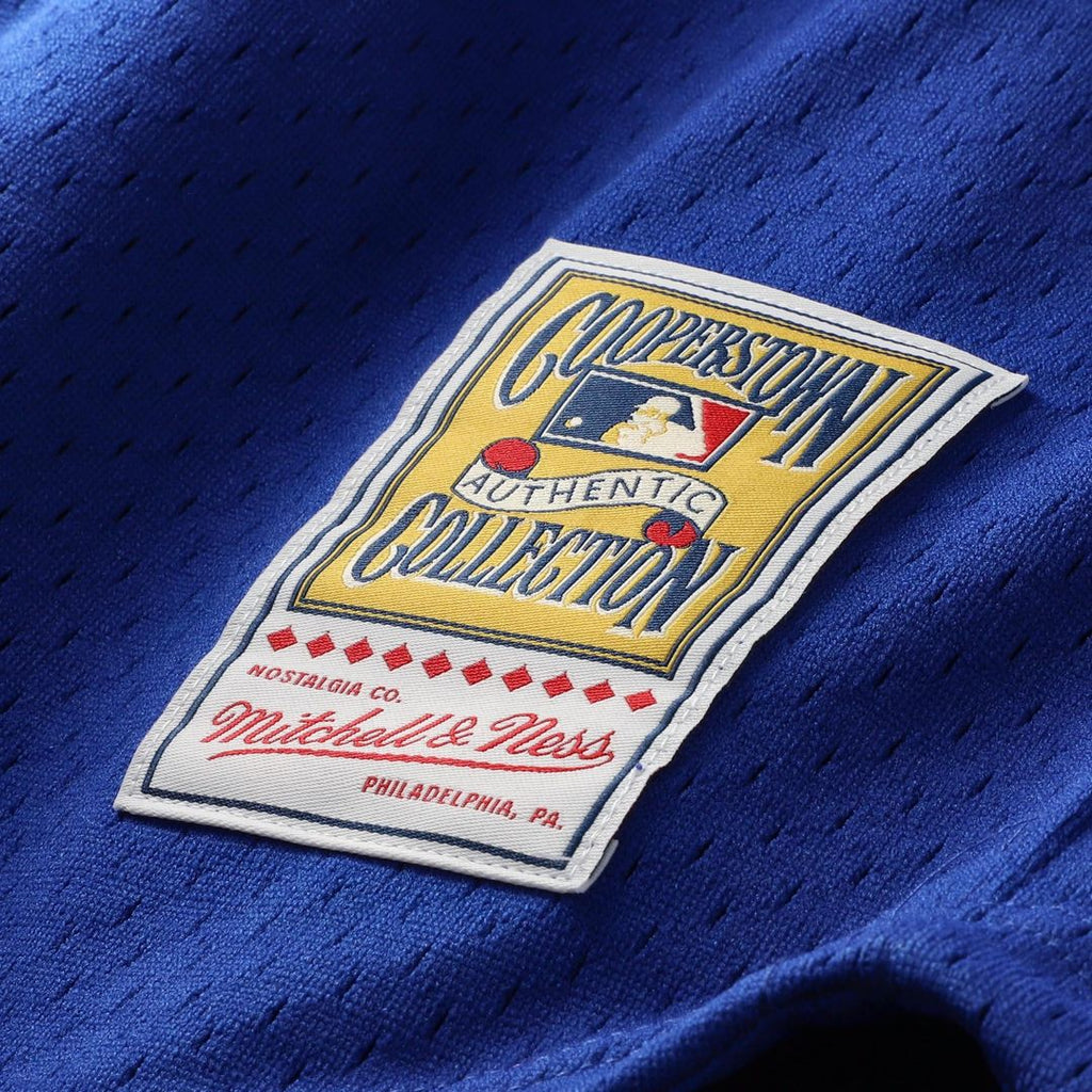 Chicago Cubs Ryne Sandberg Mitchell & Ness Royal Cooperstown Collection 1996 Mesh Batting Practice Button-Up Jersey product