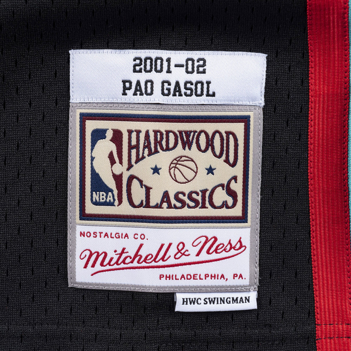 Memphis Grizzlies Mitchell & Ness Swingman Jersey Pau Gasol product image 4