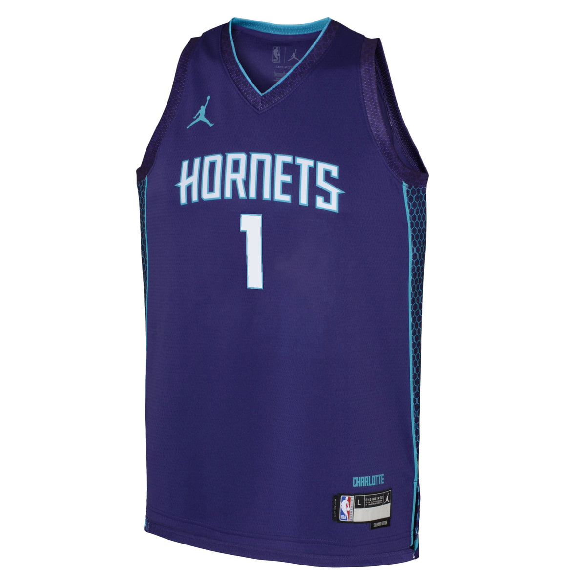 Charlotte Hornets Jordan Brand Statement Edition Swingman product image 2