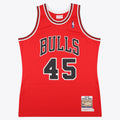 Chicago Bulls Michael Jordan 1994-95 Road 45 Authentic product image 1