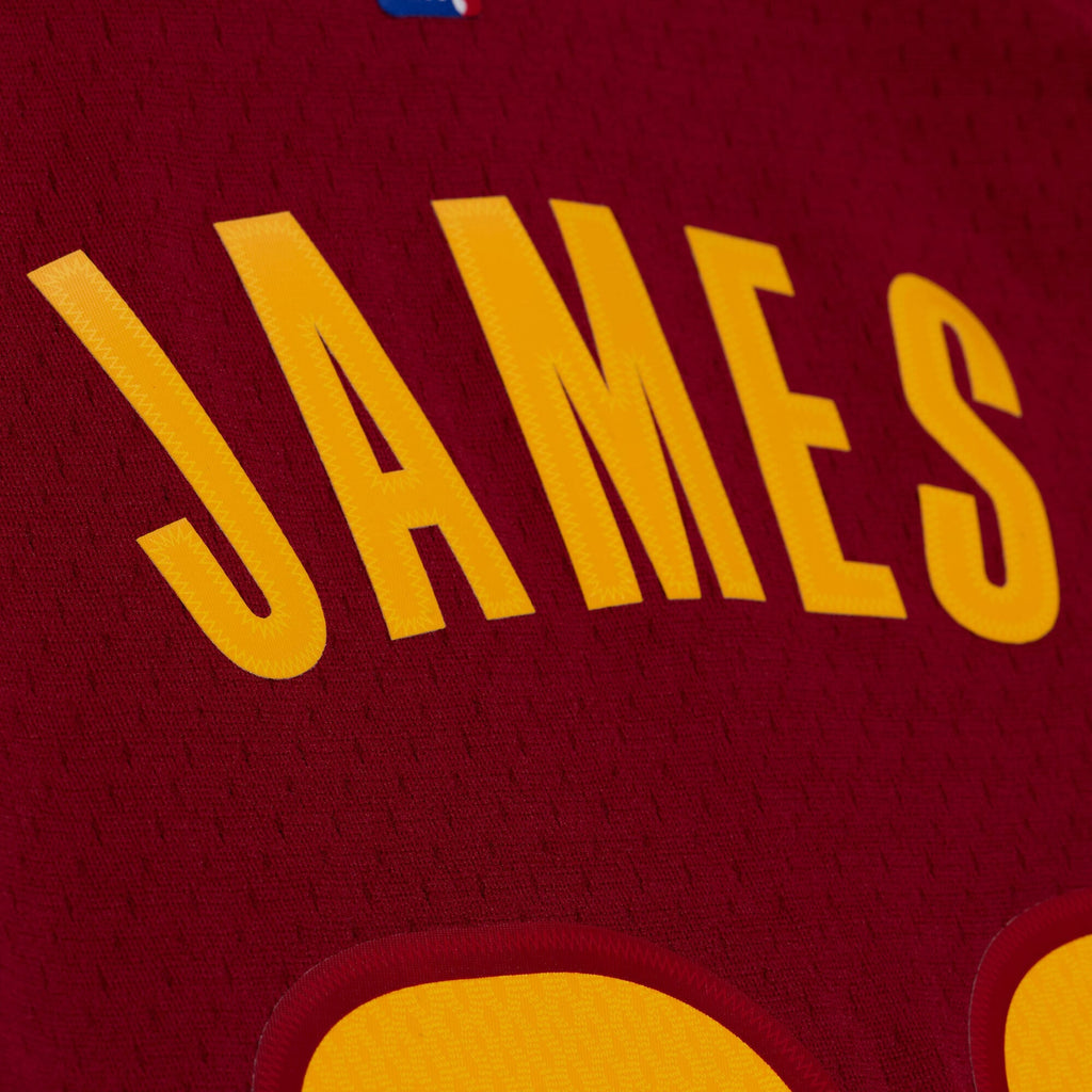 Cleveland Cavaliers Lebron James 2015-16 Mitchell & Ness Jersey product image 7, provided for visual reference and product