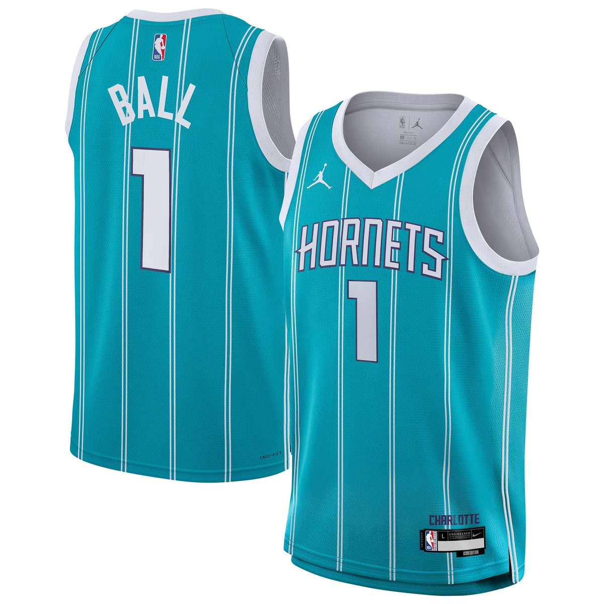 Charlotte Hornets NBA Youth Icon Swingman Jersey NE product image 2